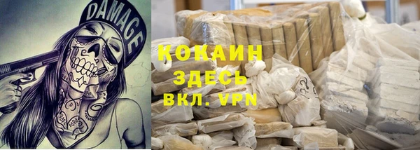 гашик Липки