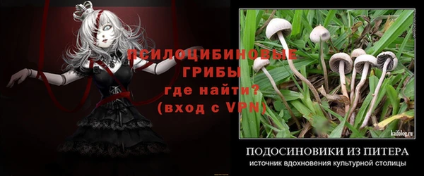 тгк Ладушкин